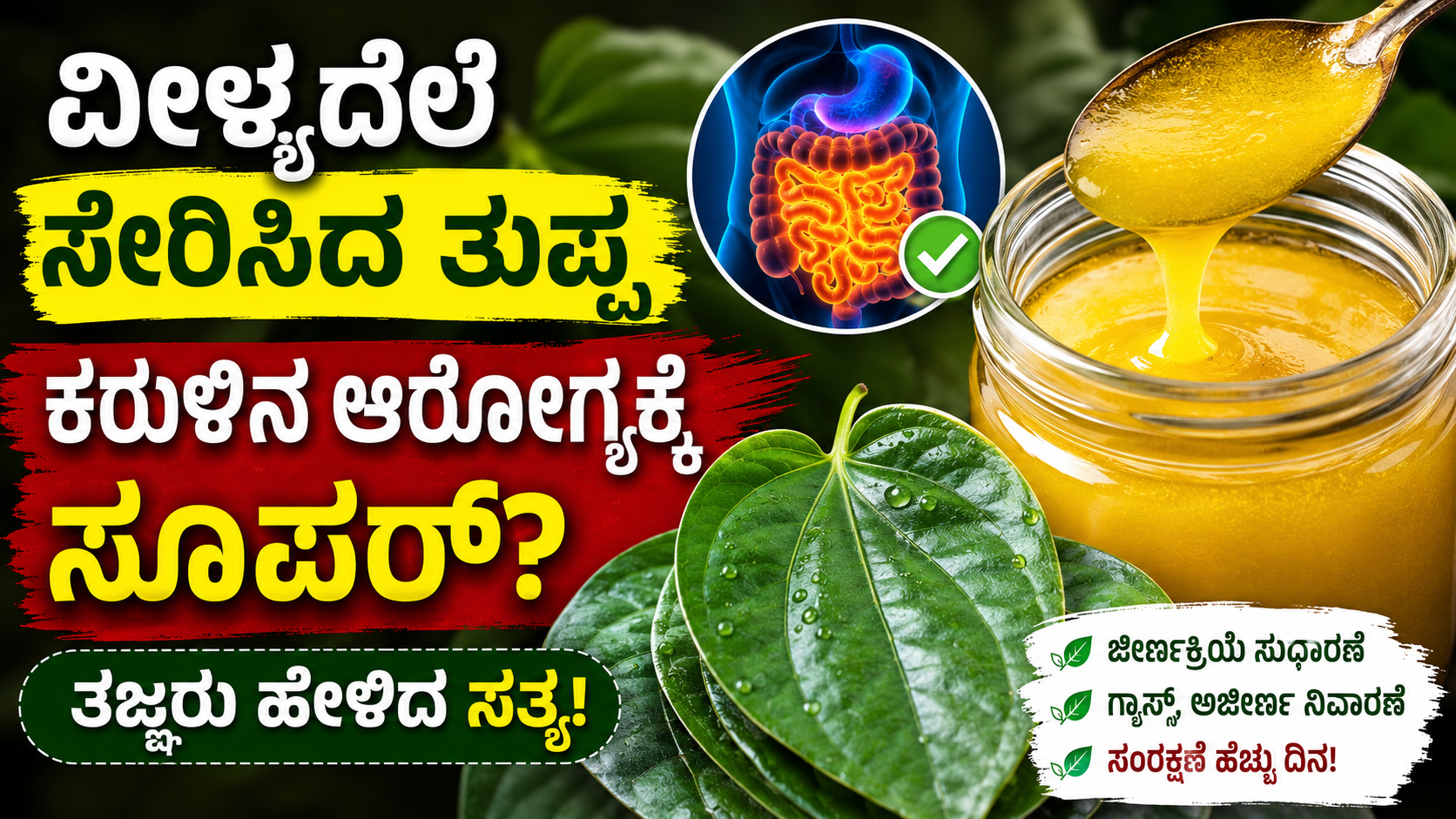 Betel Leaf Ghee Kannada: ವೀಳ್ಯದೆಲೆ ಸೇರಿಸಿ ಮಾಡಿದ ತುಪ್ಪದ ಪ್ರಯೋಜನಗಳೇನು? ಕರುಳಿನ ಆರೋಗ್ಯಕ್ಕೆ ನಿಜವಾಗಿಯೂ ಸಹಾಯಕವೇ?